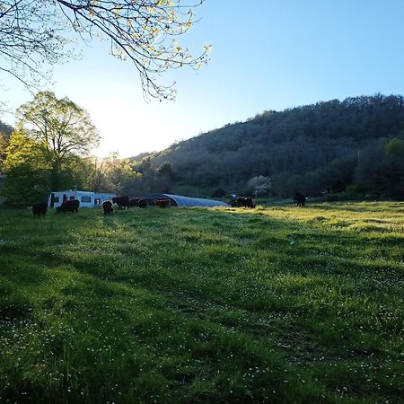 Ferme Les Therondels Saint-Pons-de-Thomieres Ngoại thất bức ảnh