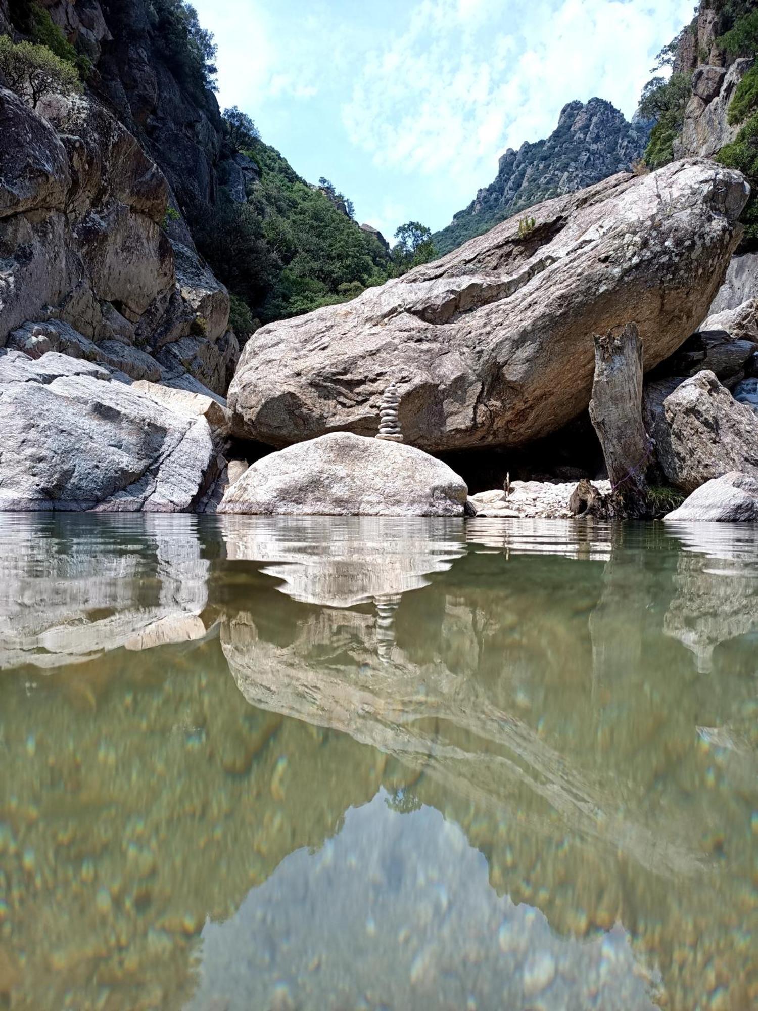 Ferme Les Therondels Saint-Pons-de-Thomieres Ngoại thất bức ảnh