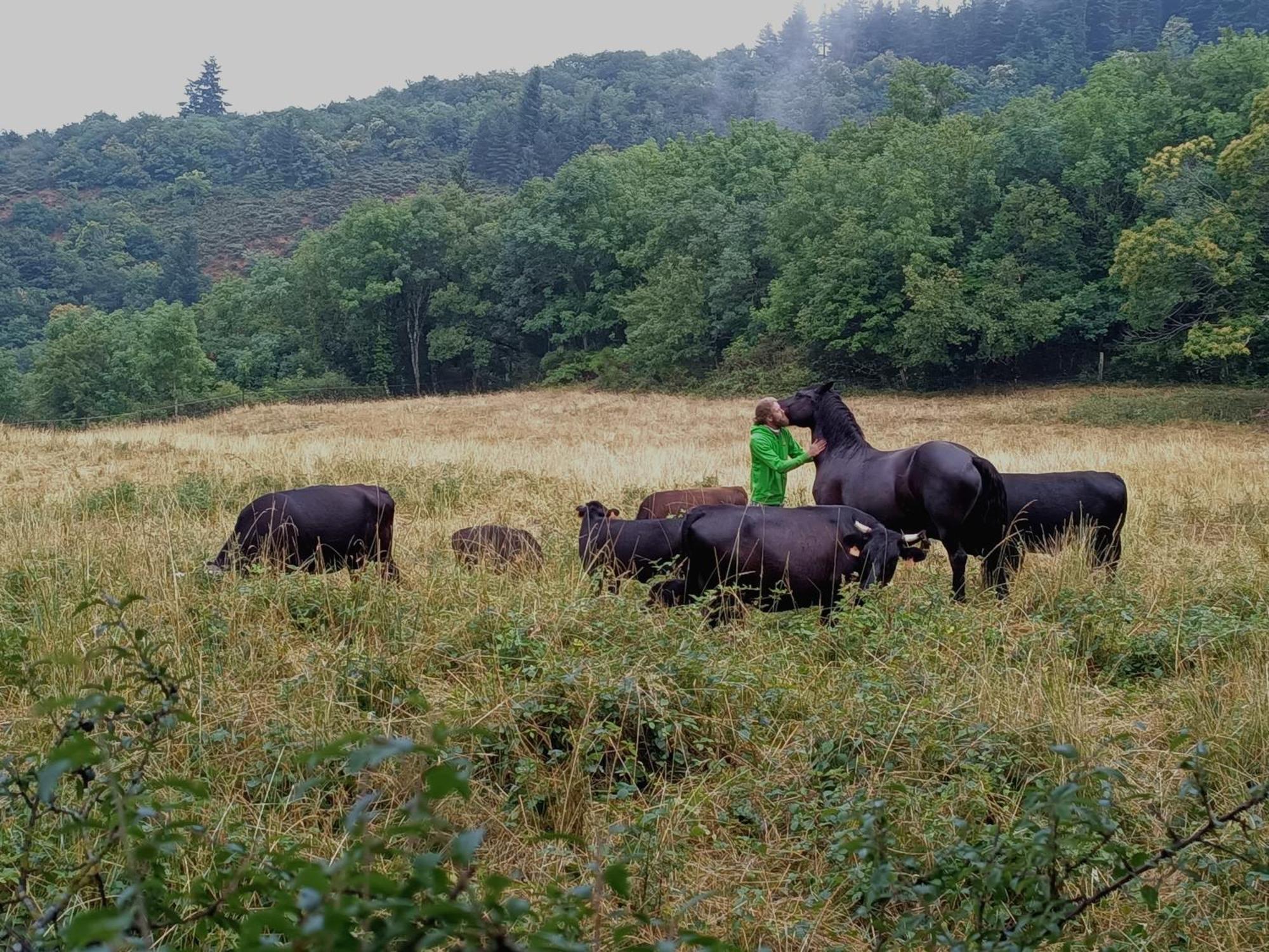 Ferme Les Therondels Saint-Pons-de-Thomieres Ngoại thất bức ảnh