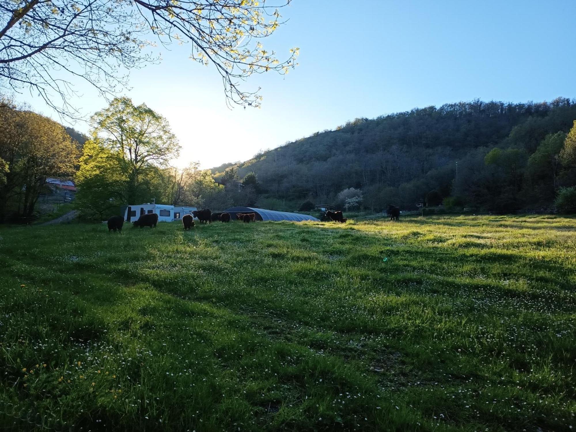 Ferme Les Therondels Saint-Pons-de-Thomieres Ngoại thất bức ảnh